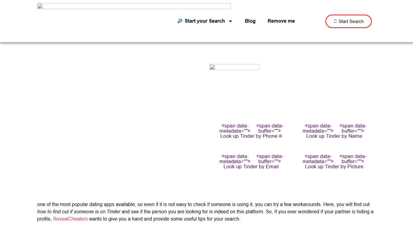 Tinder Profile Lookup: How to Find Out if Someone is on Tinder  - RevealCheaters.com